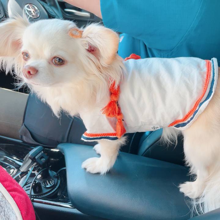 B389031b 8949 48a6 8285 df71c7fd75b6 1714280681340