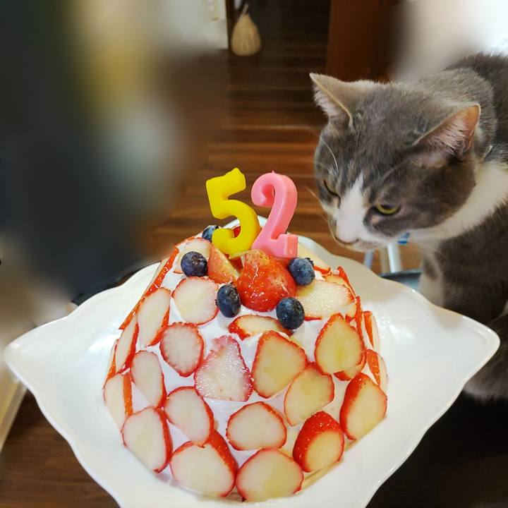 B38911fe 93e3 4313 a337 8267872d652f 1708083406298