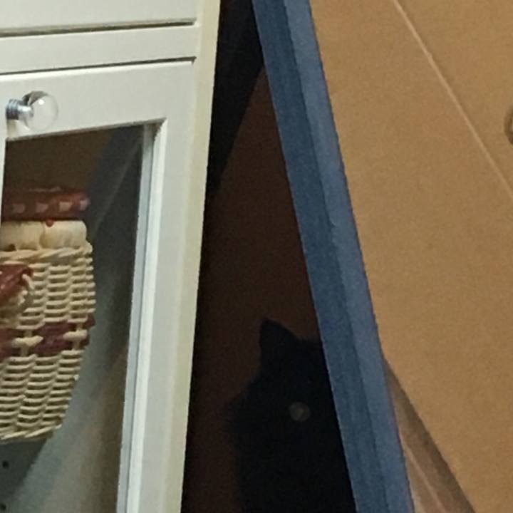 B389284c 8a8d 4e1c b3e4 70e5032bc5b1 1551277749064