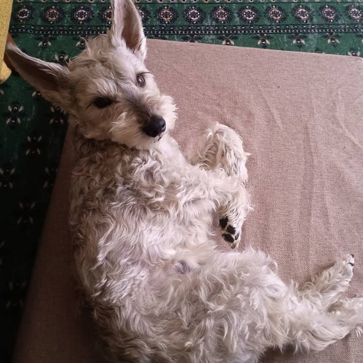 B389309e 3f16 4922 9adc 35016c85c3c4 1774268321714