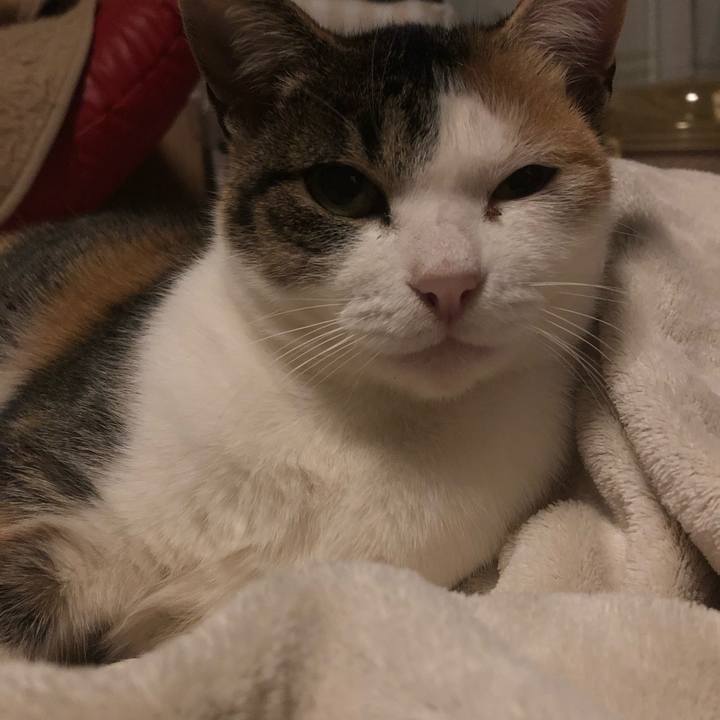 B3898fe1 20f7 46c7 9afa a9047b45b556 1580481477573