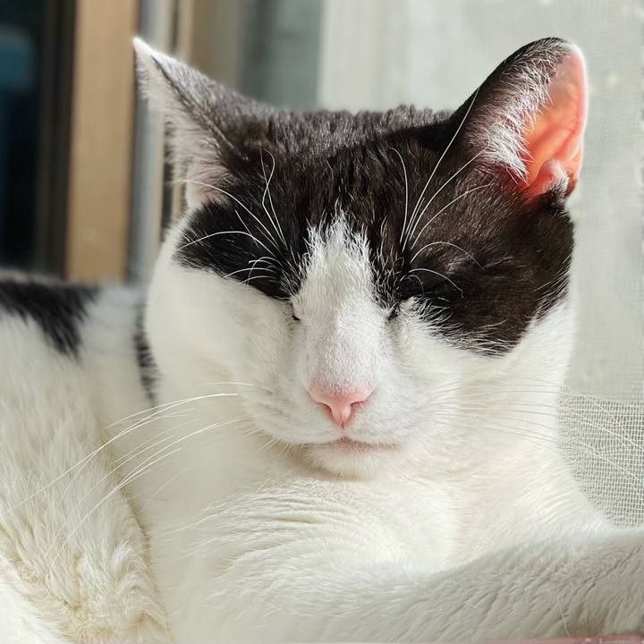 B38998d0 578f 4a06 adfc dd308694c774 1649122471839