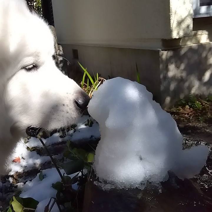 B38a143d 6c59 4935 a1e0 8bf3b66602dd 1676082603974