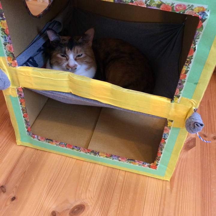 B38a3bbd 58c7 4406 825c 85843aa91667 1508635577137