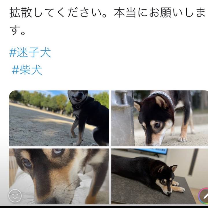 B38a3f09 f4d2 4742 a418 8a7ebd9a6bc6 1666337601426