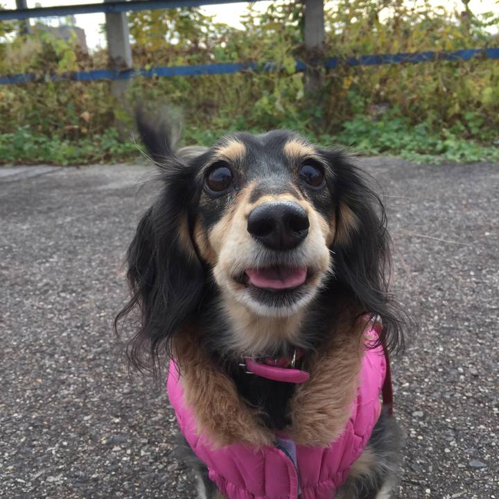 B38a4c8c 0083 4e7d ba37 522796c1360d 1544502894560