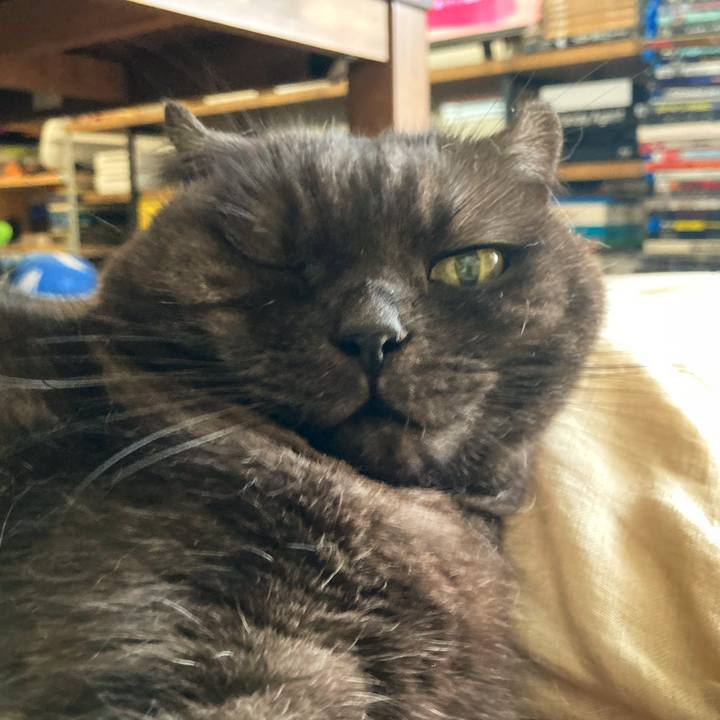 B38a59a8 21c9 45c6 abdc b2e8e8a14cd7 1628314976275