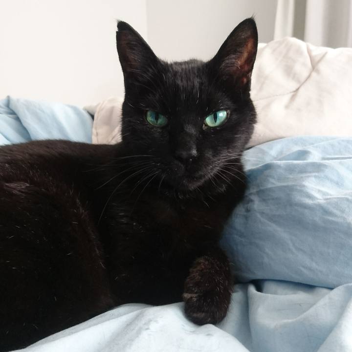 B38a6ac6 5b13 4728 9d55 89729d38dcbf 1521519417537