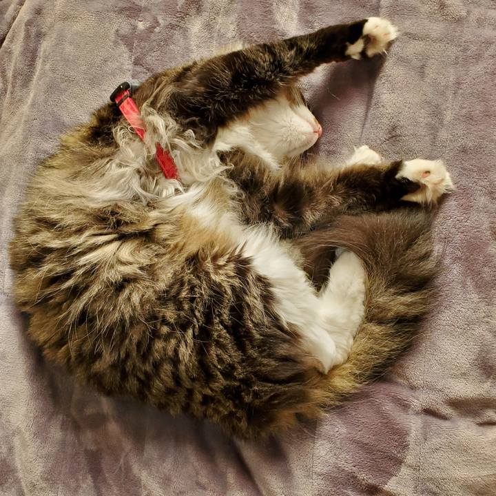 B38a856f 1920 4dda 91e8 00855dd765cf 1734515246125