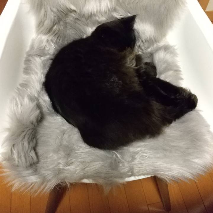 B38a86f1 8382 41f9 acae 64a18b5c4181 1611478816394