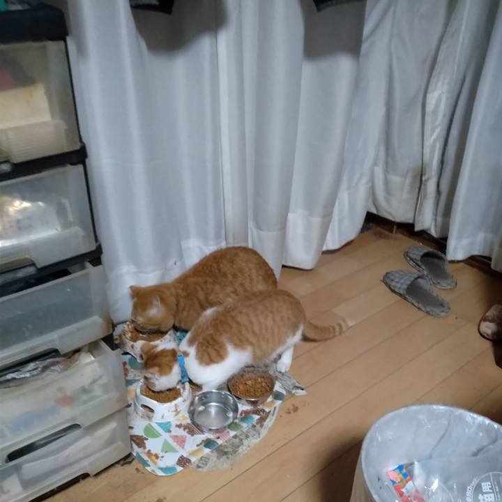 B38a8a84 4717 49a2 a46d a050cdc51bf3 1739574886269