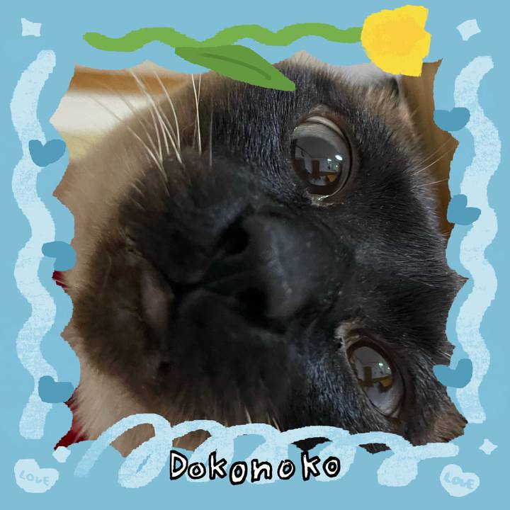 B38a8bf1 0c9d 497c 99f2 8a88d77c898f 1772220267983