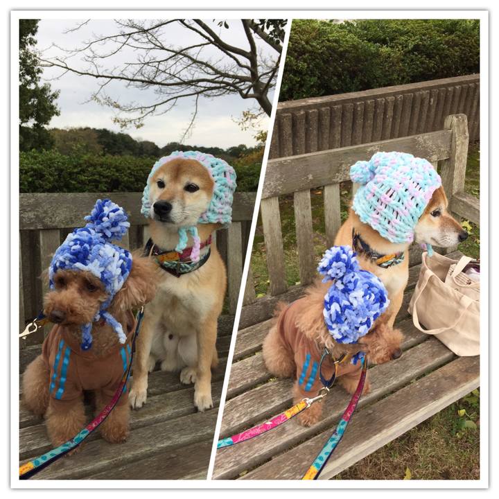 B38abc63 7e7b 4e6b a52d 8f2fdb6bad40 1508821710575