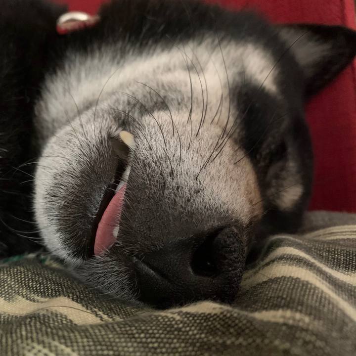 B38abe1b 3b09 4d26 82dd 5a2c4f02d383 1583861211320