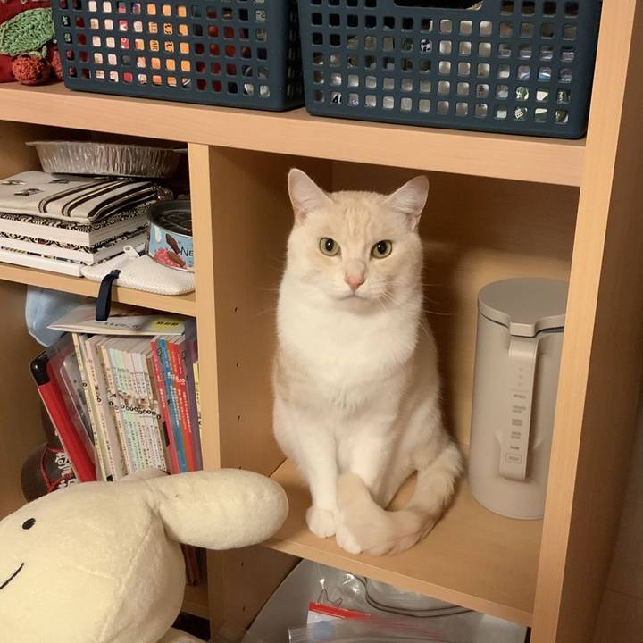 B38ad589 aa46 4801 886f 75f8b7d92683 1774022521885