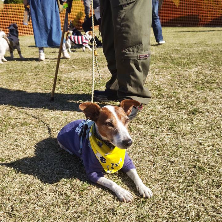 B38ae343 3973 40e0 997d 30d9f2f1acb9 1733041607784