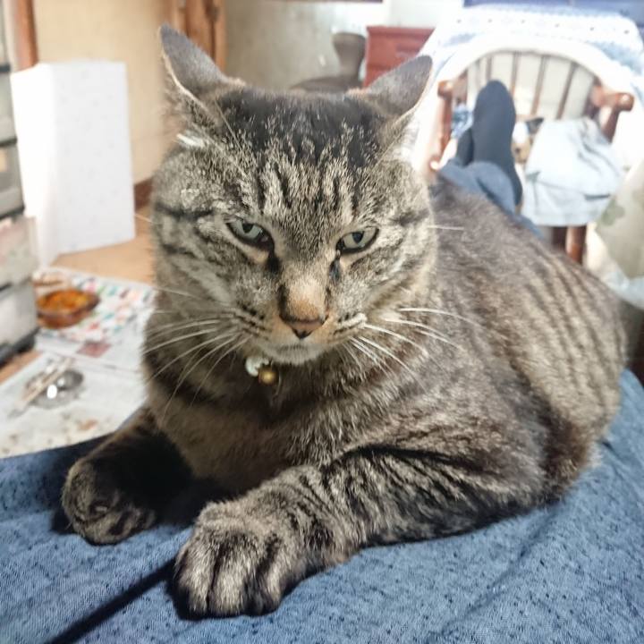 B38b1afa d21e 4046 8d3f 59cf1ae6c523 1653688654761