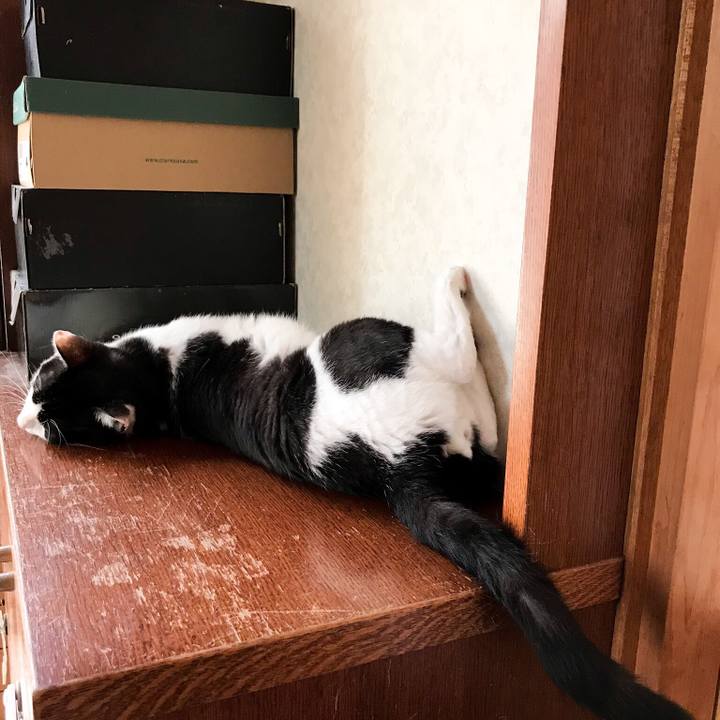 B38b242d 8c34 4e3c a8ec 099810815477 1531147968039