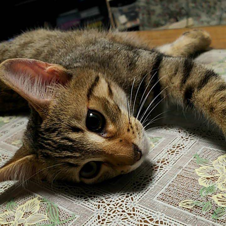 B38b4ee4 255f 4852 90fd e7e8fb904b8d 1568210564033