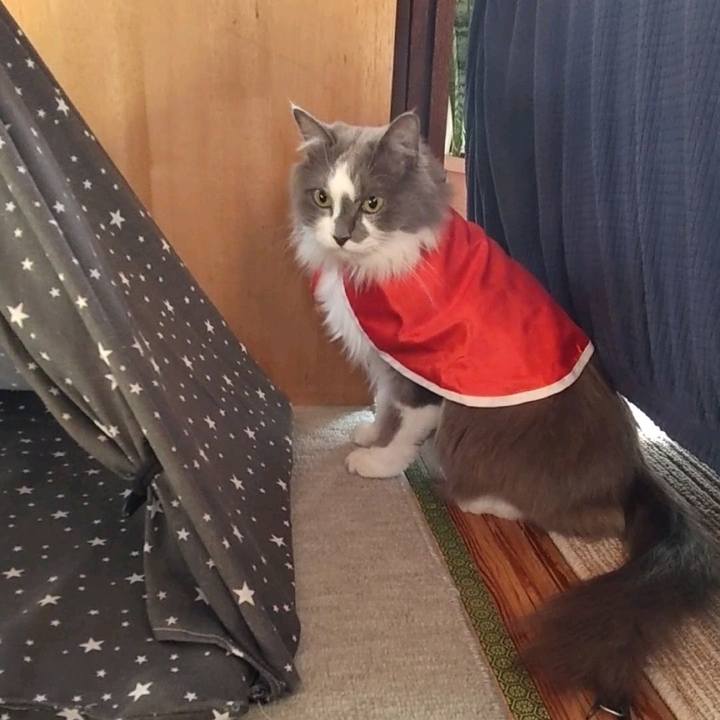 B38b6199 ab3a 4737 8e03 64b127232b71 1700291859682