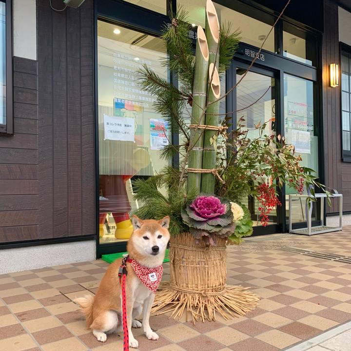 B38b6de9 de3f 4703 85d1 701868612e2d 1641111687672