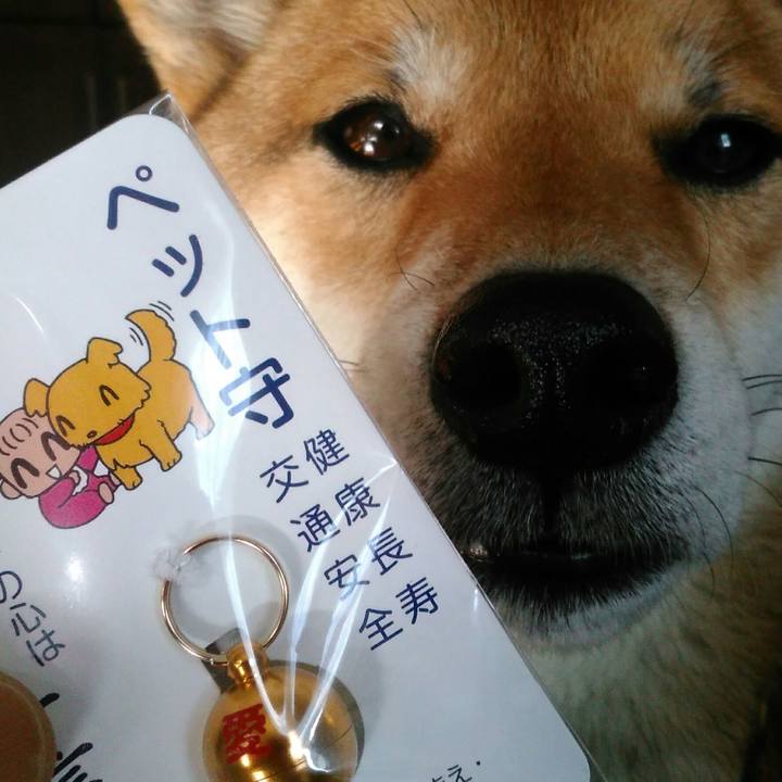 B38b956b 83f6 49ce ae17 03543c9e8a14 1511055705799