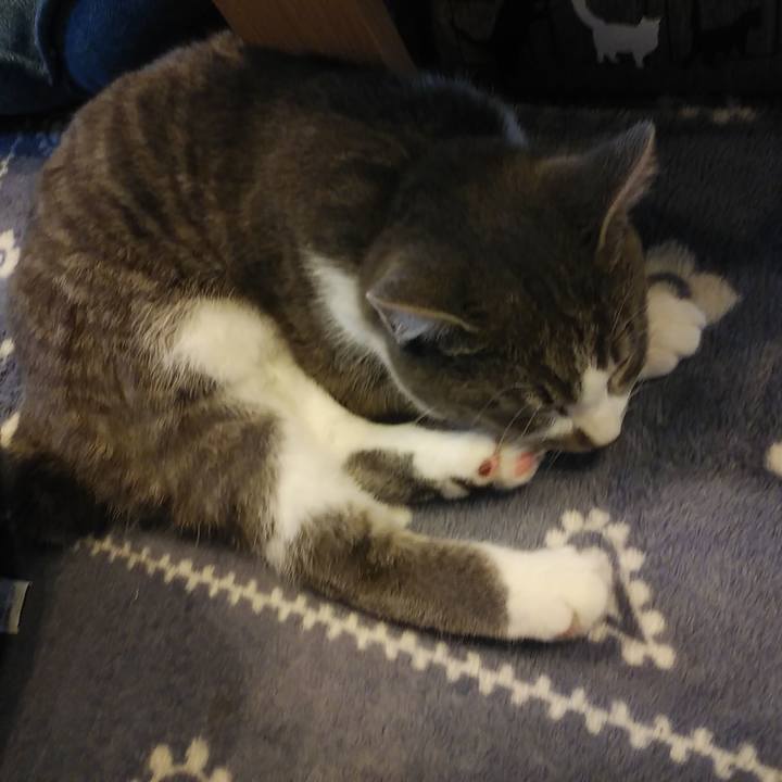 B38b9d6a e138 4dfb b213 c83ba35d693a 1570771529793