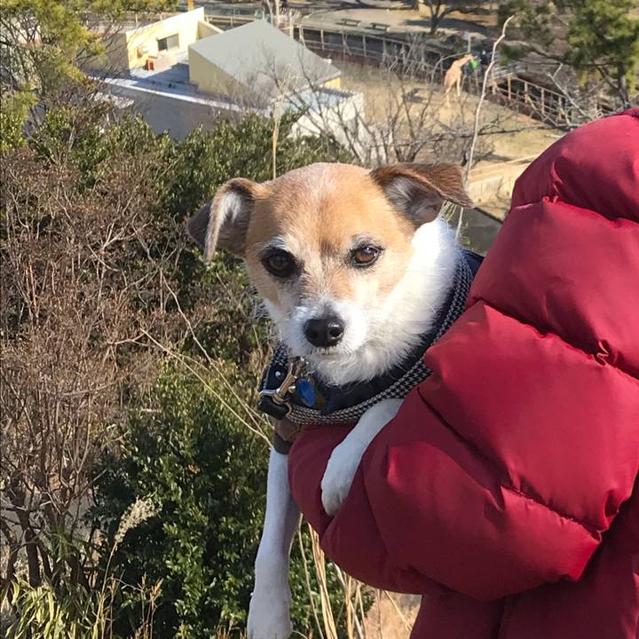 B38b9e67 6075 4d12 b2be 227266ebef36 1581155503797