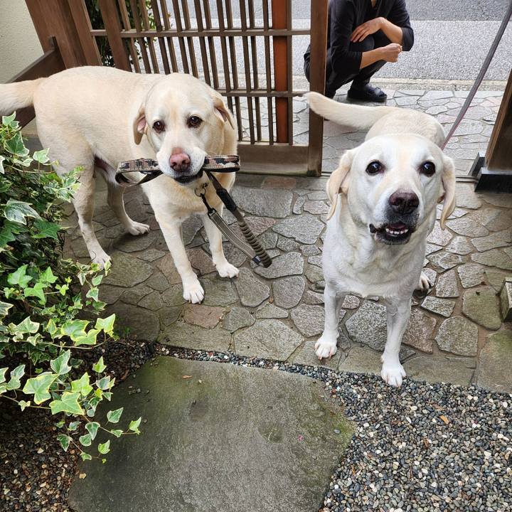 B38b9f49 a9f8 47da 988a e097df6cfeee 1730460479289