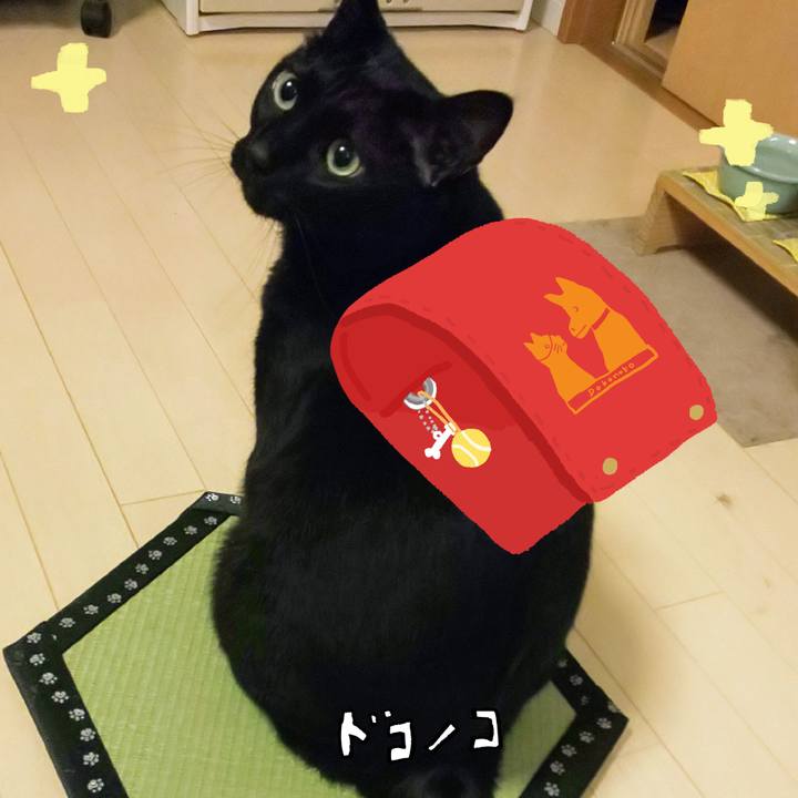 B38bb5a5 a185 4b0f 8ff3 d35c870db350 1744294548664