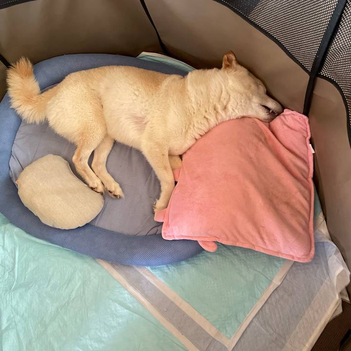 B38bea82 db3f 4695 b92d 464fda0f7478 1654827171913