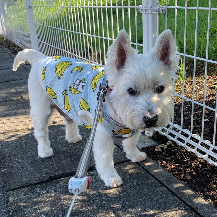 B38c250c a68e 4452 9711 f6a2e3d35e24 1661297023448