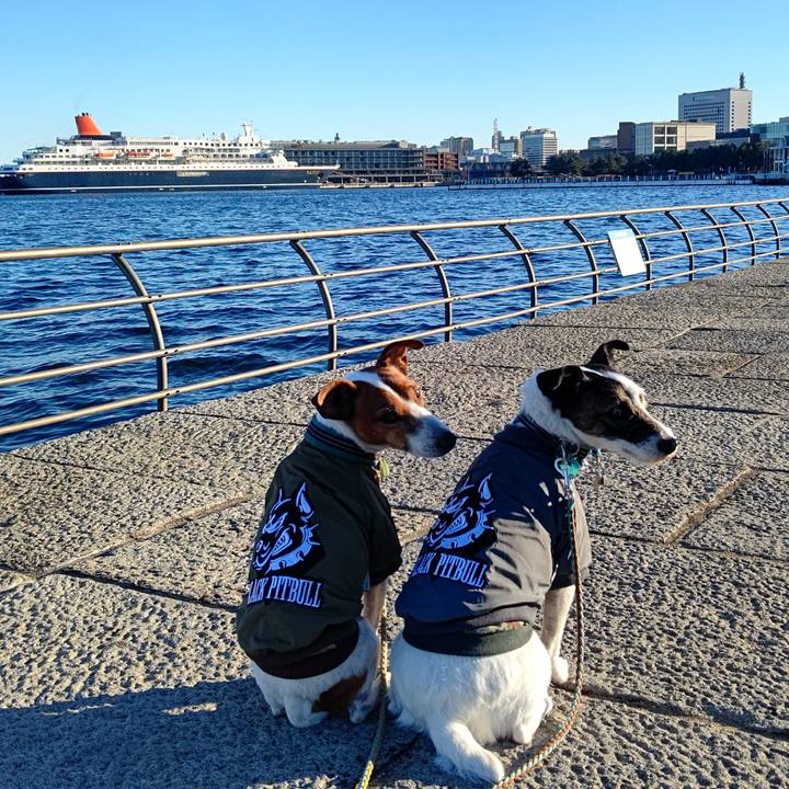 B38c43e1 b3fb 4bbe a926 ac960f968a8e 1704698145145