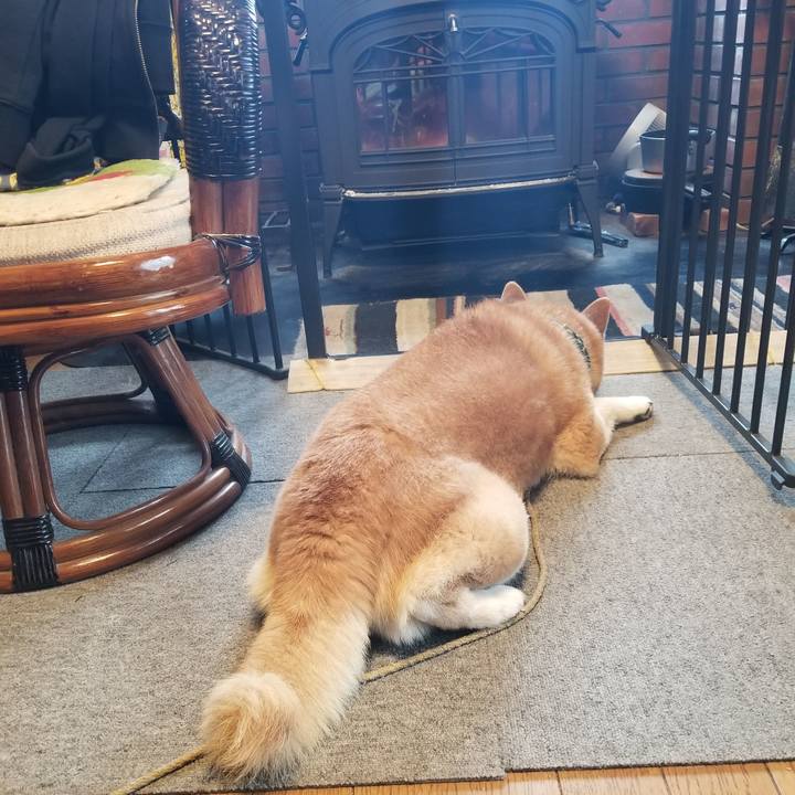 B38c4a75 8a69 44ee 984a ebdc5ebd20ac 1703547301387