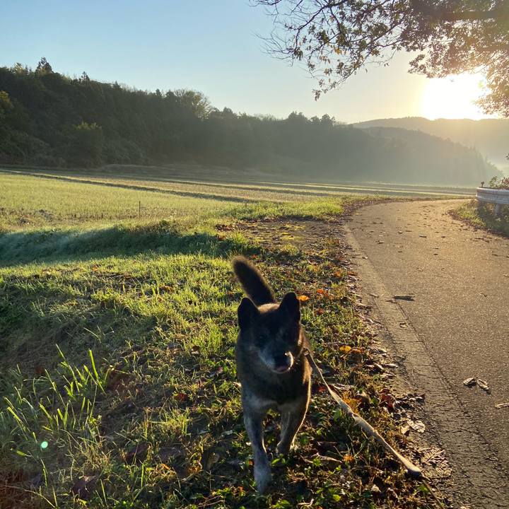 B38c57e9 6d0b 4345 8a1a 23e1d4c99e58 1635981661240