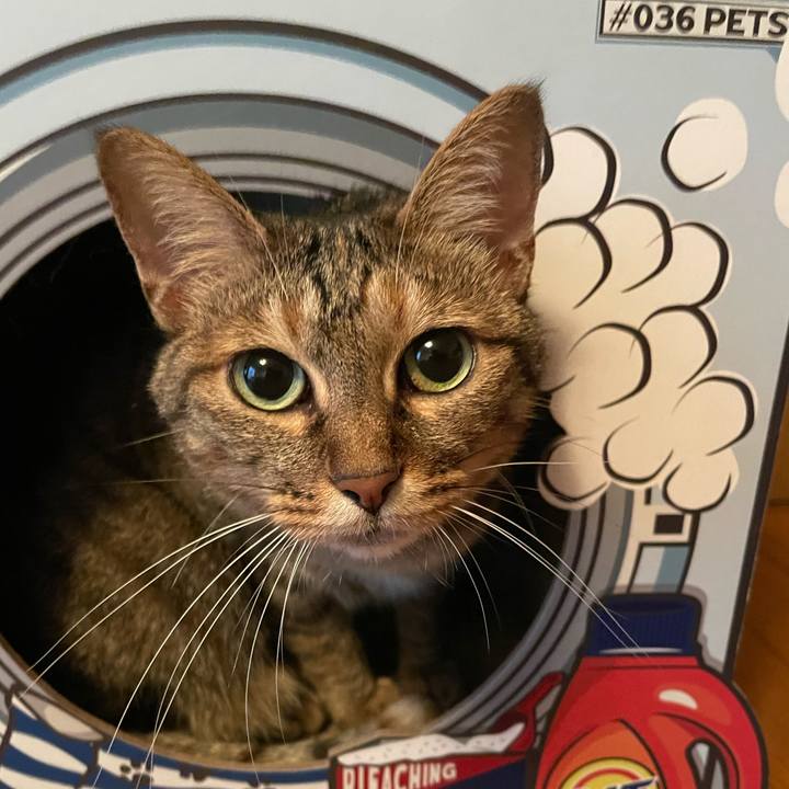 B38cb4e8 0300 4d58 9e37 5829fac37265 1656217211044