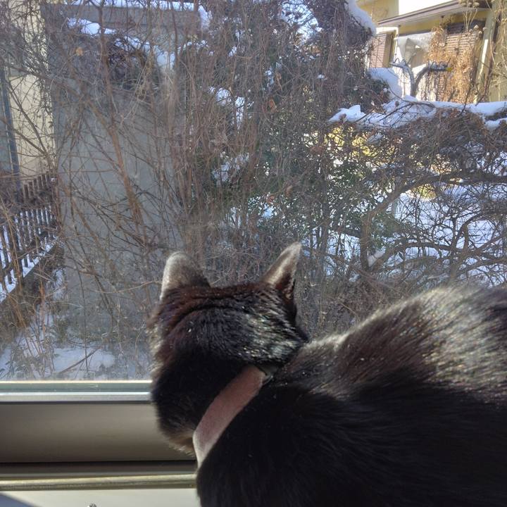 B38ce9a7 9454 4509 9aeb 9867cce44dfb 1770607854269