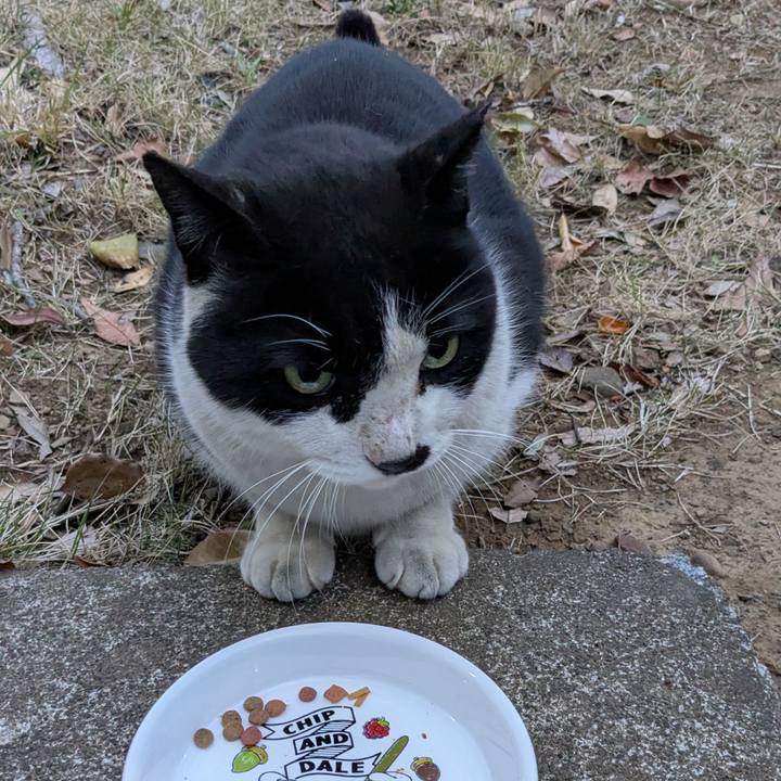 B38d2178 55a3 4dfa bb71 1ef54d4f4807 1743153937395