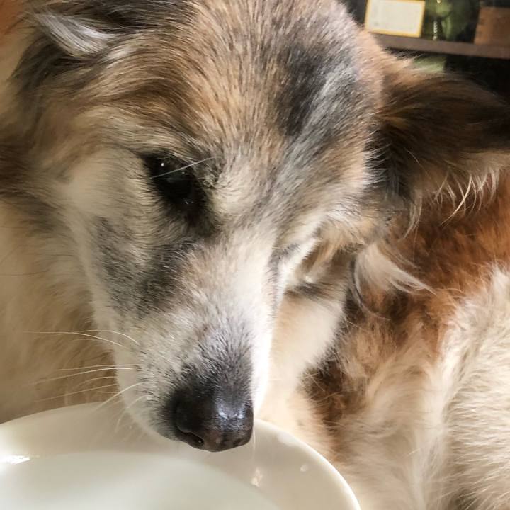 B38d84e7 7c46 4e68 afc7 360145d64150 1549943779106