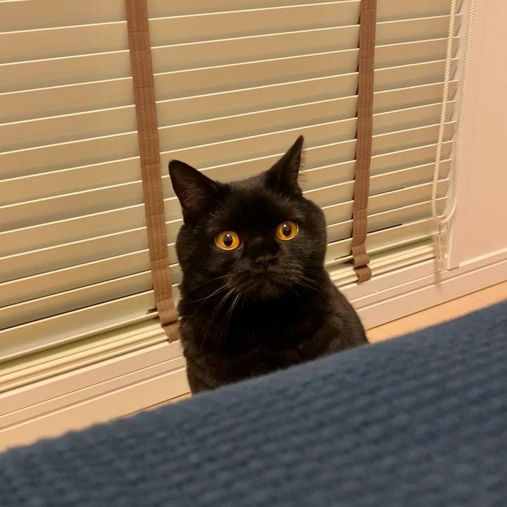 B38d86ac c5ee 477a b2ca 8fa2edccf3ae 1618479810486