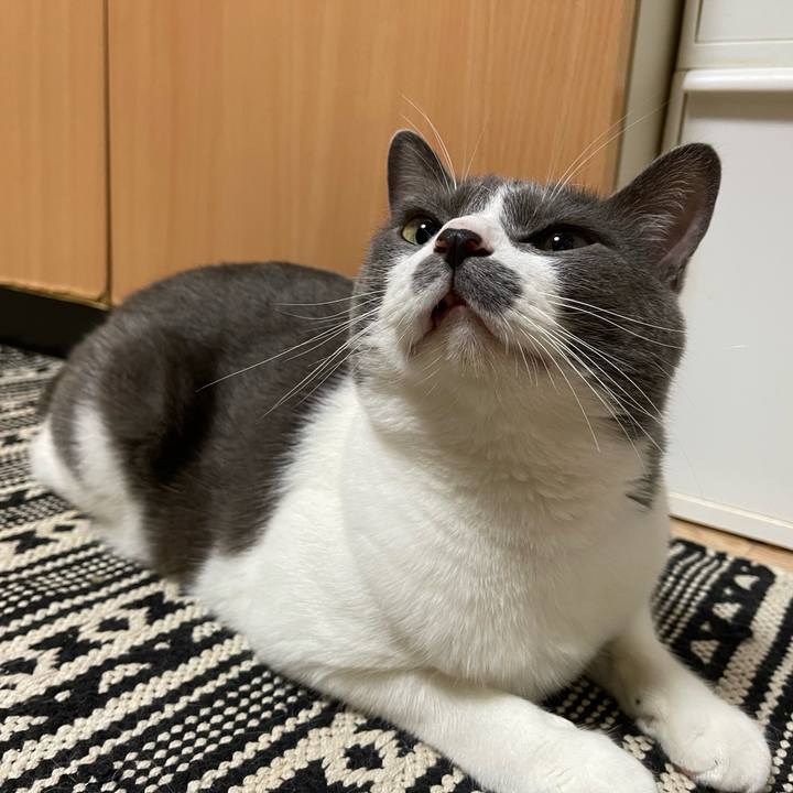 B38d90e7 b3cf 4c30 ae48 09639c1968bf 1658875881476