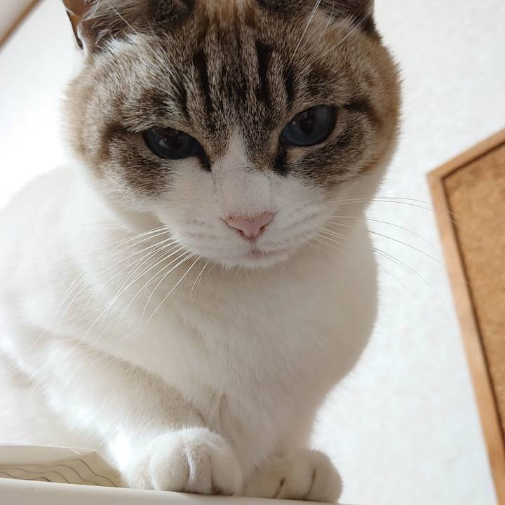 B38dab0d 0a0c 4591 9ff3 62be98a8cd4e 1638098609392