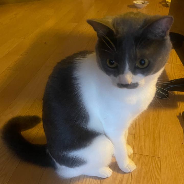 B38dc072 59ed 4e2f 8b8a de388d49266a 1628901931679