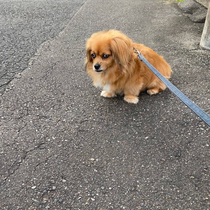 B38dc7e6 bfe6 4c72 afac 917bc3564f12 1631481938573