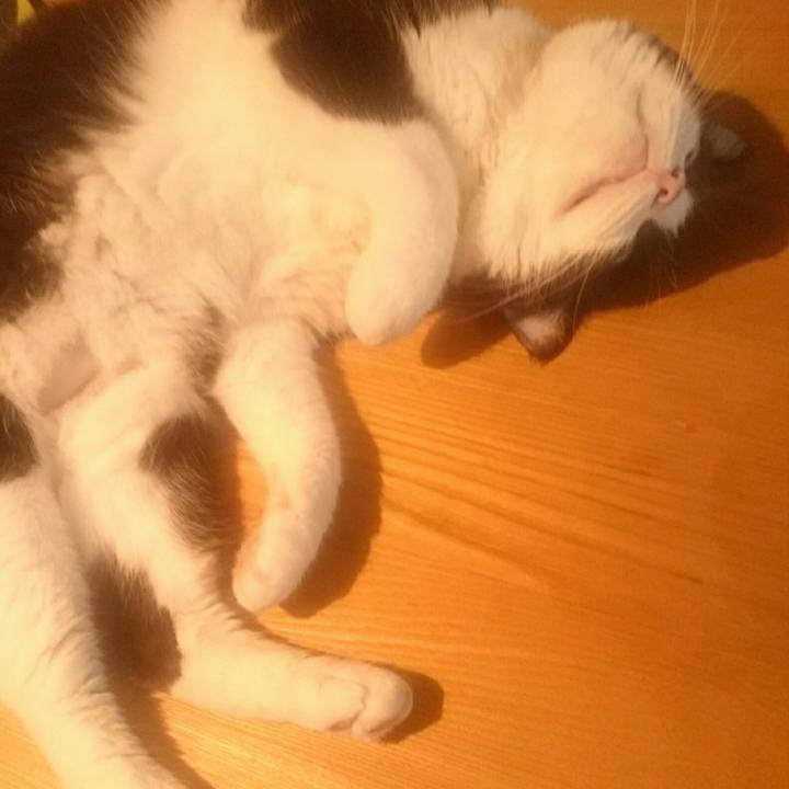 B38dcc14 b2bf 4bee b031 d9b199a89e62 1564840050306