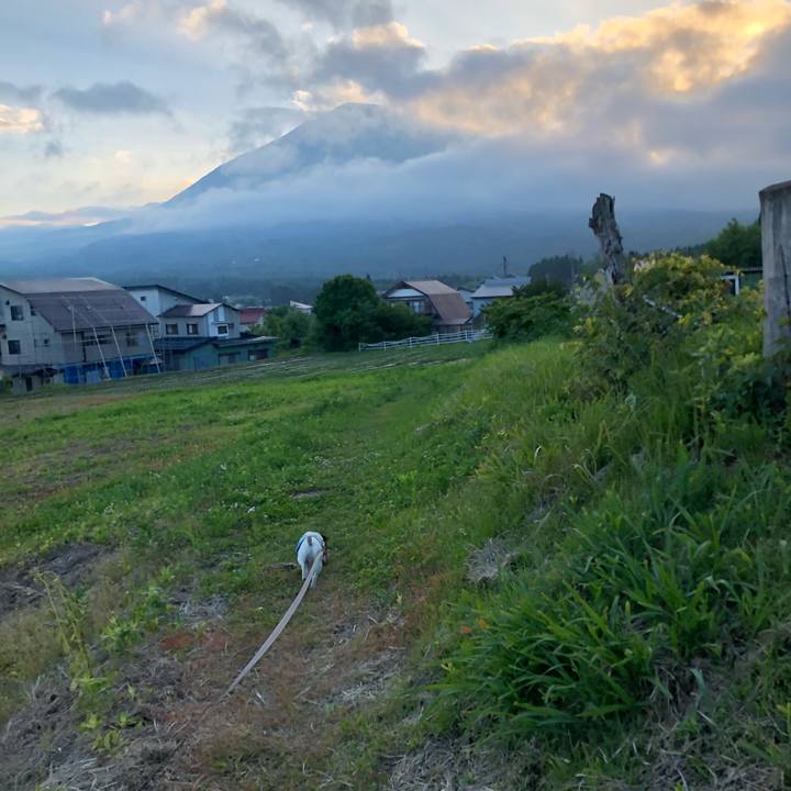 B38e021e 5547 42e8 b010 09d29eafd9ae 1527848972040