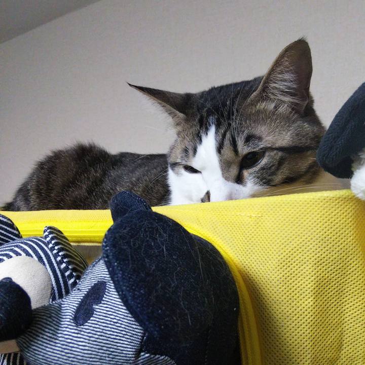 B38e2b4b be32 471f be8d 513adb6ed338 1644049081137