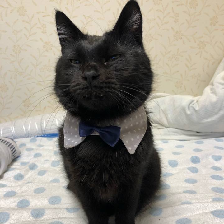 B38e64a0 adbf 4066 95aa f2b57888f51b 1573222285249