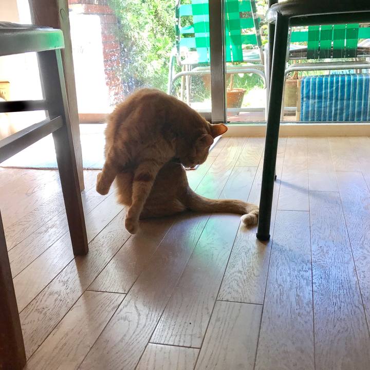 B38e6c0c e67a 4058 8873 68aad1791c2a 1508924940009