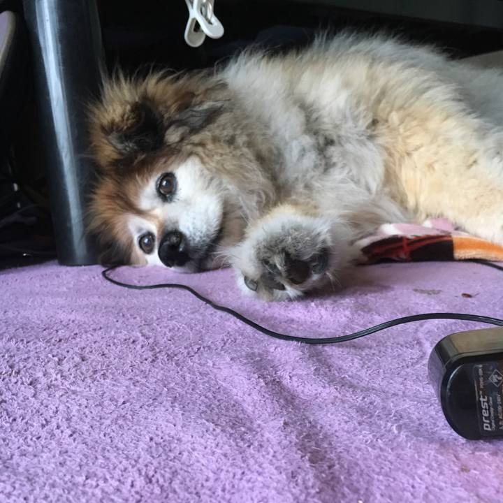 B38e75bc 57dd 4623 ac30 be732091e880 1556766917492